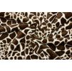 Coral fleece Soft - Zvířecí vzor žirafa